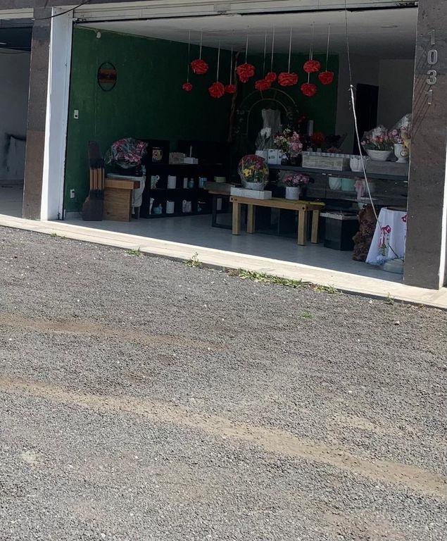 Foto de la galeria de imagenes