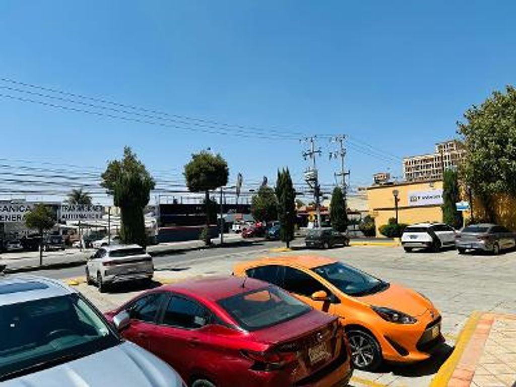 Foto de la galeria de imagenes