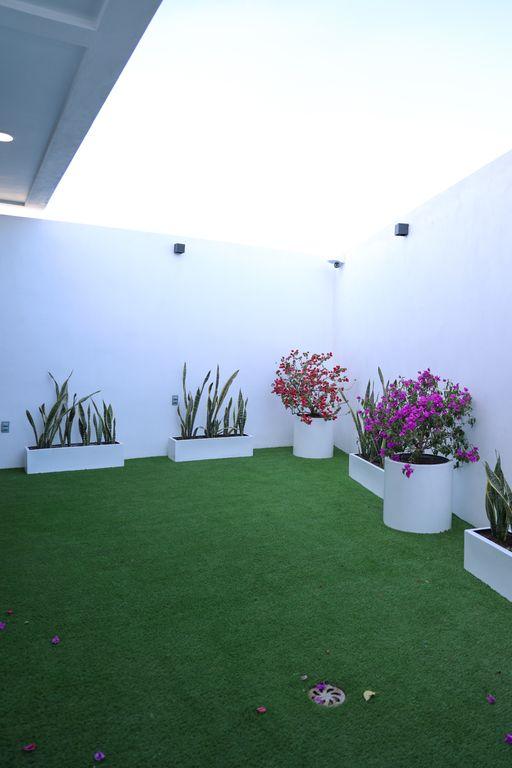Foto de la galeria de imagenes