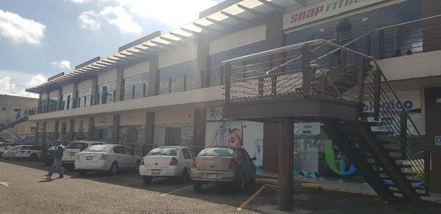 Foto de la galeria de imagenes