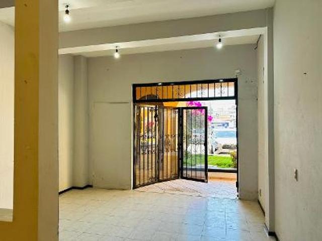 Foto de la galeria de imagenes