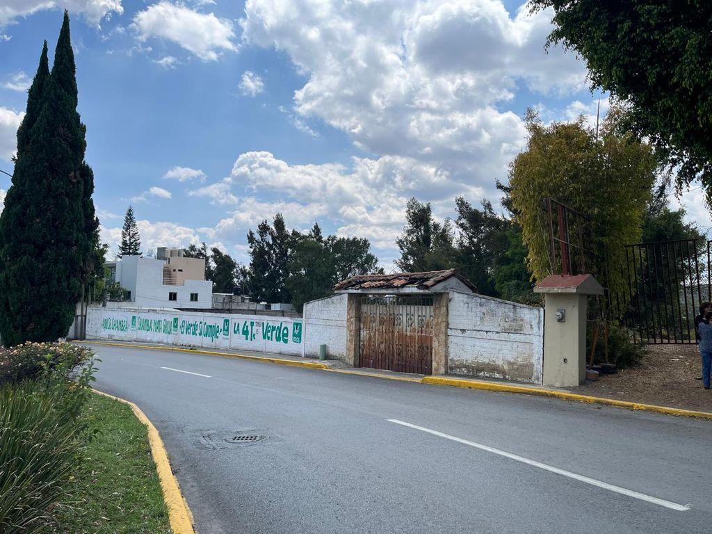 Foto de la galeria de imagenes