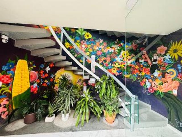 Foto de la galeria de imagenes