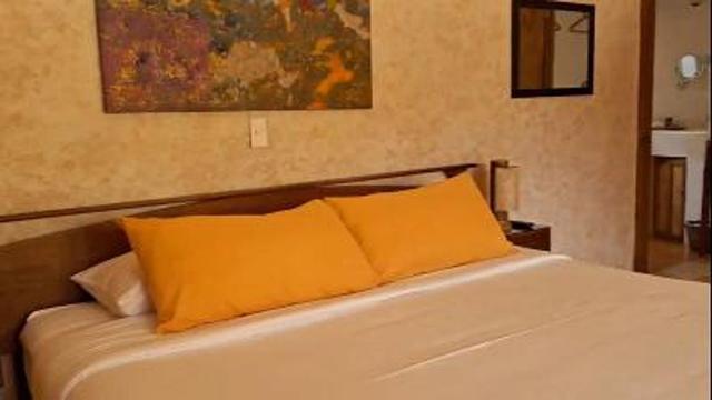 Foto de la galeria de imagenes